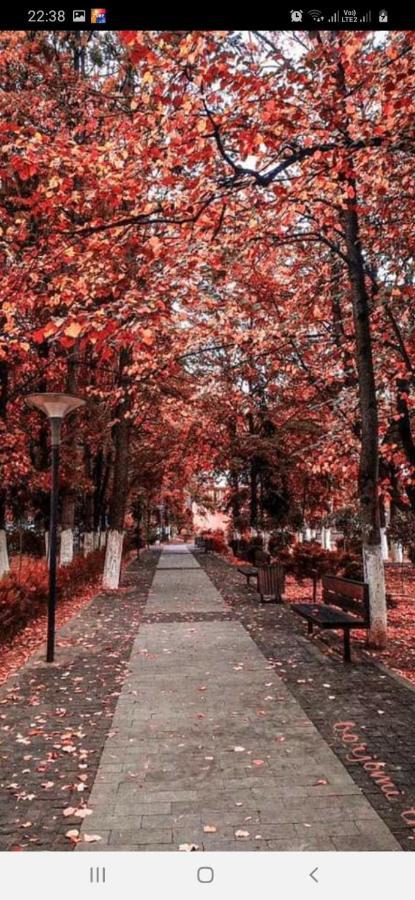 Gamsakhurdia Street Bordzjomi Buitenkant foto