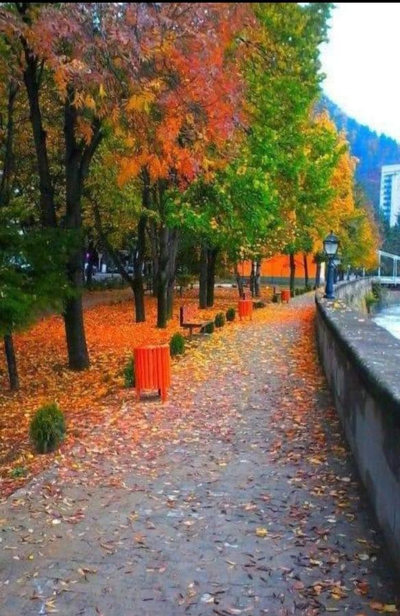 Gamsakhurdia Street Bordzjomi Buitenkant foto