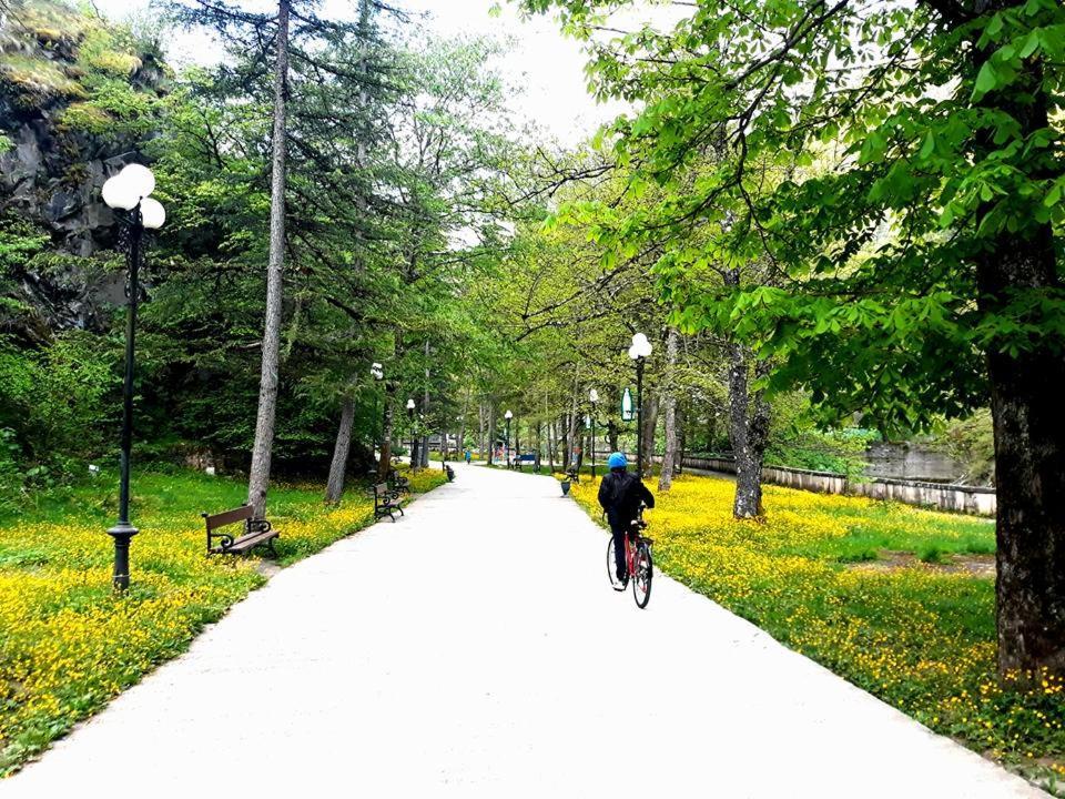 Gamsakhurdia Street Bordzjomi Buitenkant foto